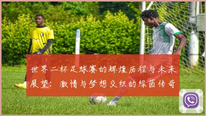 世界二杯足球赛的辉煌历程与未来展望：激情与梦想交织的绿茵传奇